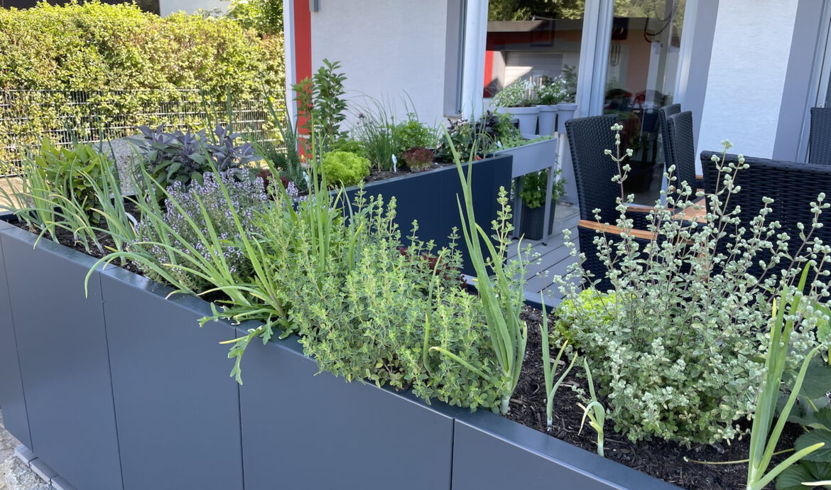 Naturpool mit Gartenanlage Stetten Höfling Gartenbau