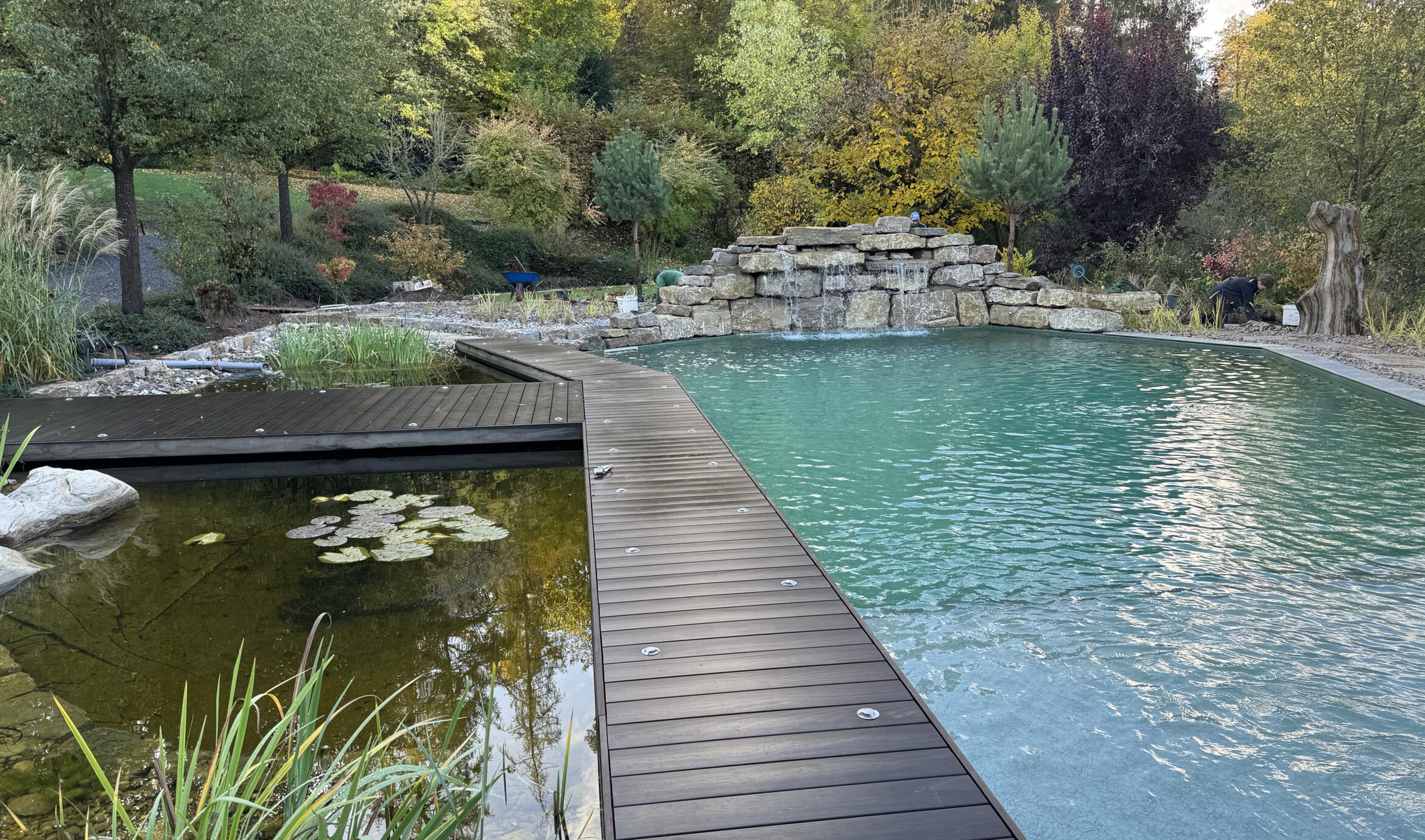 Schwimmteich Marktheidenfeld Höfling Gartenbau